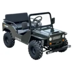 Massimo Mini 125 Go Kart 125cc 9hp