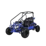 Taotao GK110 Kids Gas Go Kart Dune Buggy - Image 2