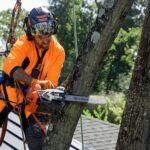 Husqvarna® T540 XP Mark III Top Handle Chainsaws - Image 6
