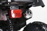 Taotao 250 Rhino Adult Utility ATV - Image 7