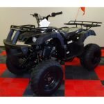 Rps 200cc Utility 169 cc ATV - Image 2