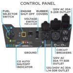 Westinghouse WGen5300DFcv - 5300 Watt Dual-Fuel Portable Generator w/ RV Outlet & CO Sensor (49-State) - Image 10