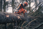 Husqvarna 592XP (93cc) Chainsaws - Image 9